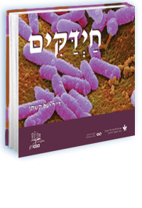 ����� ������ ����� ����